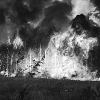 Лесные пожары рвутся из города в лес