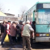 В Иркутске утверждены первые садоводческие сезонные маршруты