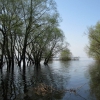 Из-за таяния снега в Саянах повысился уровень воды в реке Иркут