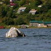 Живая вода становится полумертвой