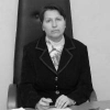 Законопроект о деятельности мировых судей Иркутской области решено принять в