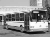 Восемь новых автобусов выйдут на муниципальные маршруты Иркутска
