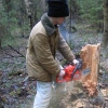 Иркутские чиновники пошли в санитары леса