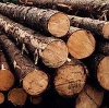 Изменения в закон об организации пунктов приема древесины рекомендованы к