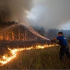 Пожары разрослись внезапно