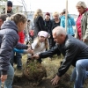 Акция «посади дерево» прошла в Ангарском районе