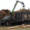 В Иркутской области на крупного предпринимателя заведено дело о контрабанде