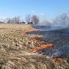 В Иркутской области за сутки сгорело семь домов в дачных поселках