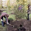 К празднованию Дня города в Иркутске намерены создать молодежный сквер