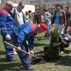 Активисты посадили деревья возле медицинского колледжа в Иркутске