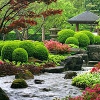 Оригинальный японский сад появится в Ботаническом саду Иркутского