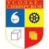 Выбраны члены комиссии для назначения сити-менеджера Усолья-Сибирского