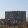 Депутаты Братска включили вопрос об уставе в повестку заседания думы