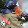 Власти Иркутской области заключили соглашение о сотрудничестве с Рослесхозом