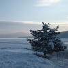 Началась проверка по фактам ограничения доступа к Иркутскому водохранилищу