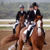 В Приангарье открылся четвертый Открытый чемпионат СФО по адаптивному конному