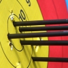 Иркутянка заняла первое место на Кубке Европы по стрельбе из лука