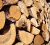 Депутаты заслушали информацию об обеспечении населения древесиной для