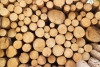 В Иркутской области утверждены объемы древесины для сельскохозяйственных нужд