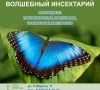 В краеведческом музее Иркутска запланировано проведение выставки паукообразных