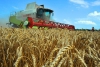 Минсельхоз подвел итоги конкурса по субсидиям для сельскохозяйственных