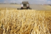 В Иркутской области посеяно 217,2 тыс. га зерновых и зернобобовых культур