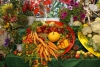 В Иркутске объявлено о  проведении выставки «Огород. Сад. Загородный дом»