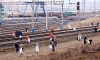 ВСЖД заявила об участии 24,5 тыс железнодорожников в весеннем трудовом