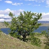 На Байкале из-за столкновения надувного снаряда с судном погибла женщина