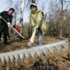 В Иркутске на осень запланировано проведение двух акций по уборке города