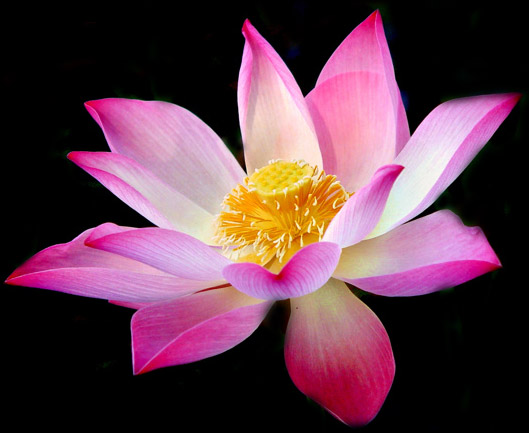 Сайт выключен